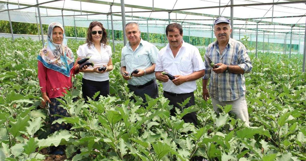 Sera desteği şartları