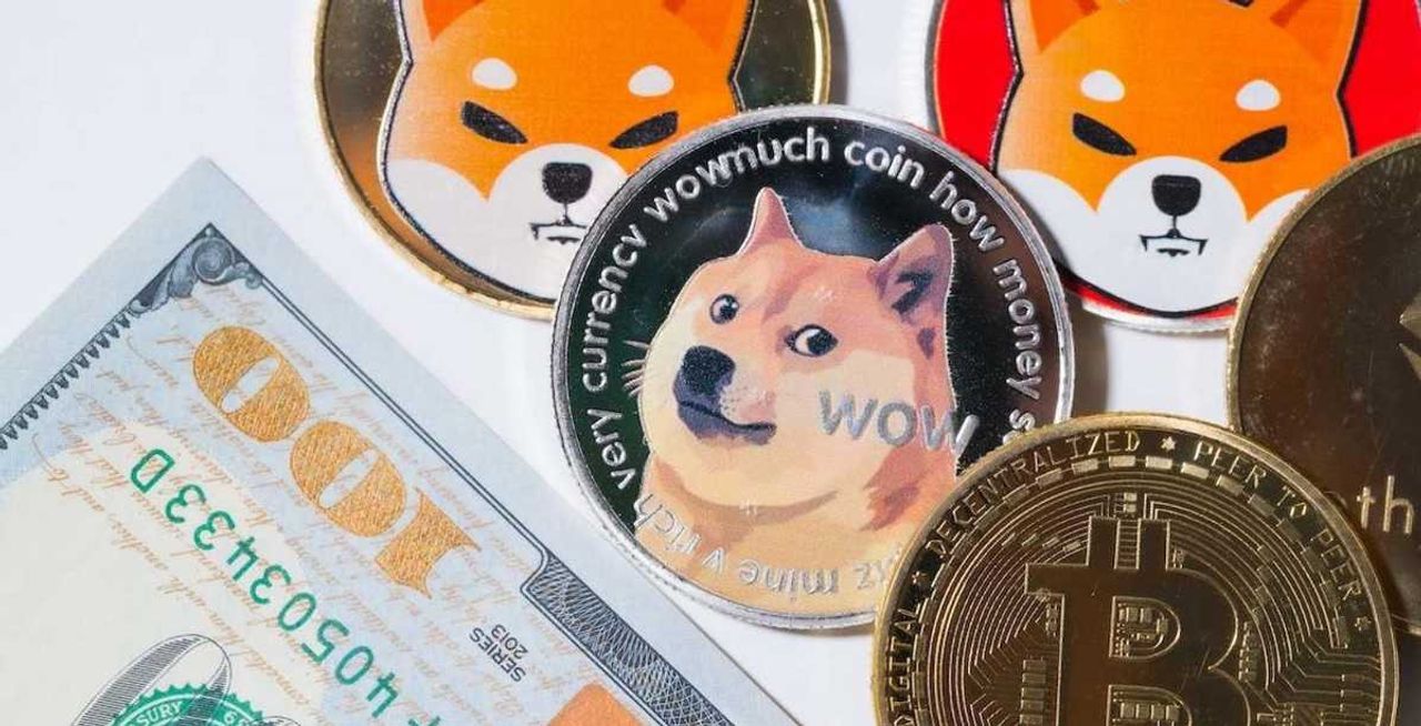 Shiba Inu