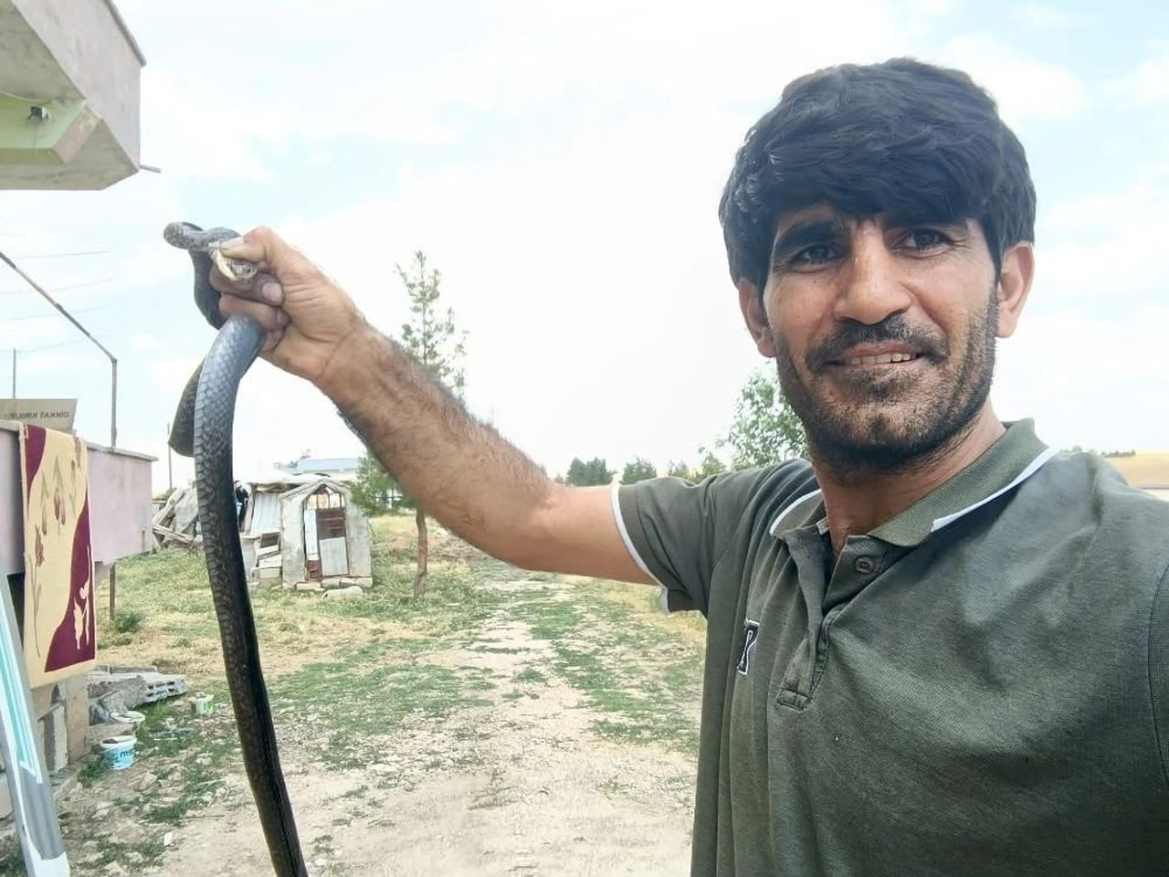 SİİRT'İN KURTALAN İLÇESİNDE YAŞAYAN RAHMİ MİKYAS, EVİNE GİREN YILANI ÇIPLAK ELLE...
