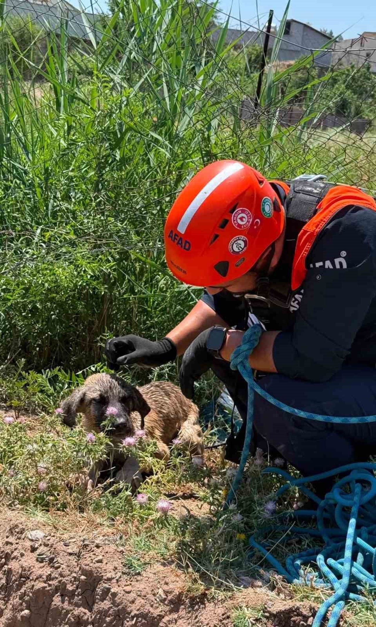 SİİRT’İN BAYKAN İLÇESİNDE SU KUYUSUNA DÜŞEREK MAHSUR KALAN KÖPEK, AFAD EKİPLERİNİN BAŞARILI...