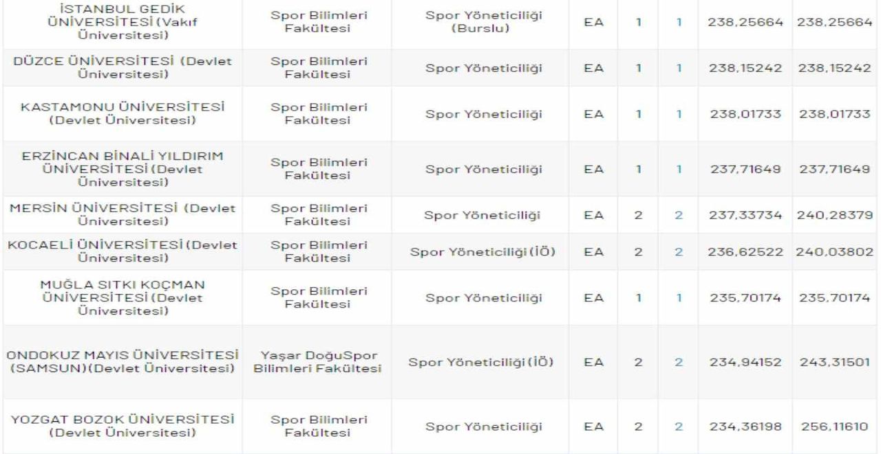 spor yöneticiliği
