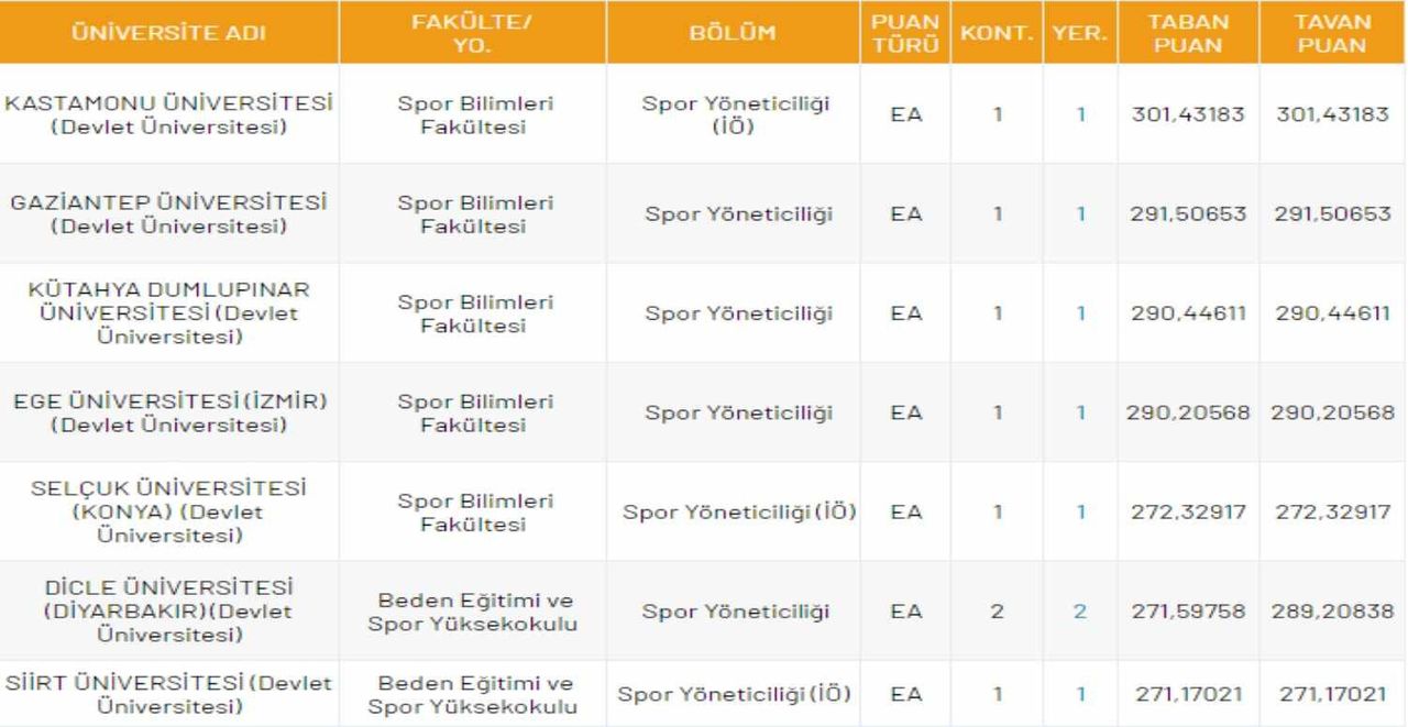 spor yöneticiliği
