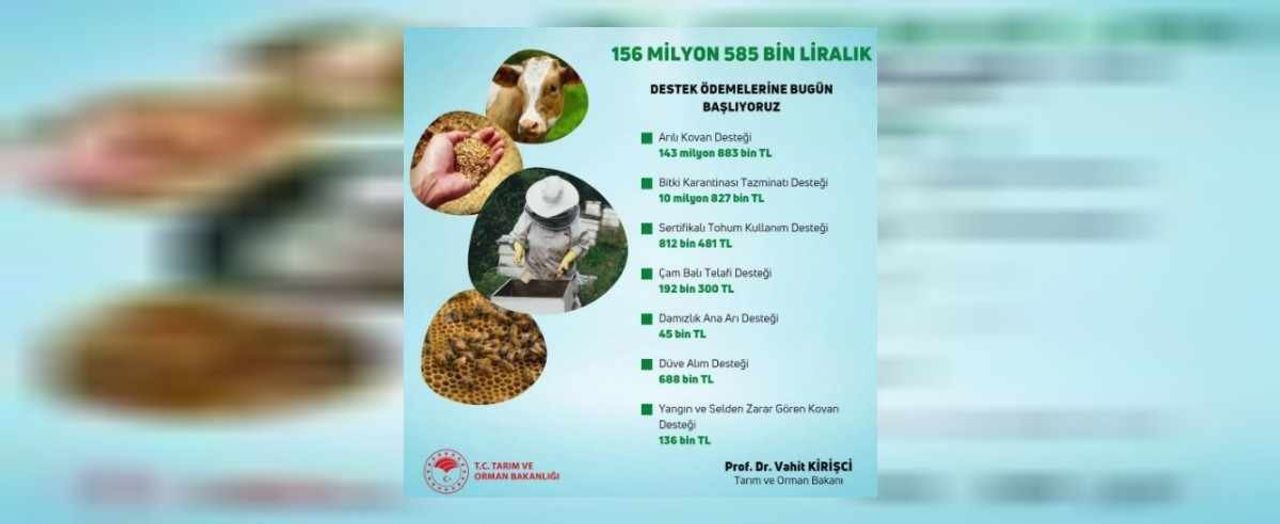 Tarım destek ödemeler