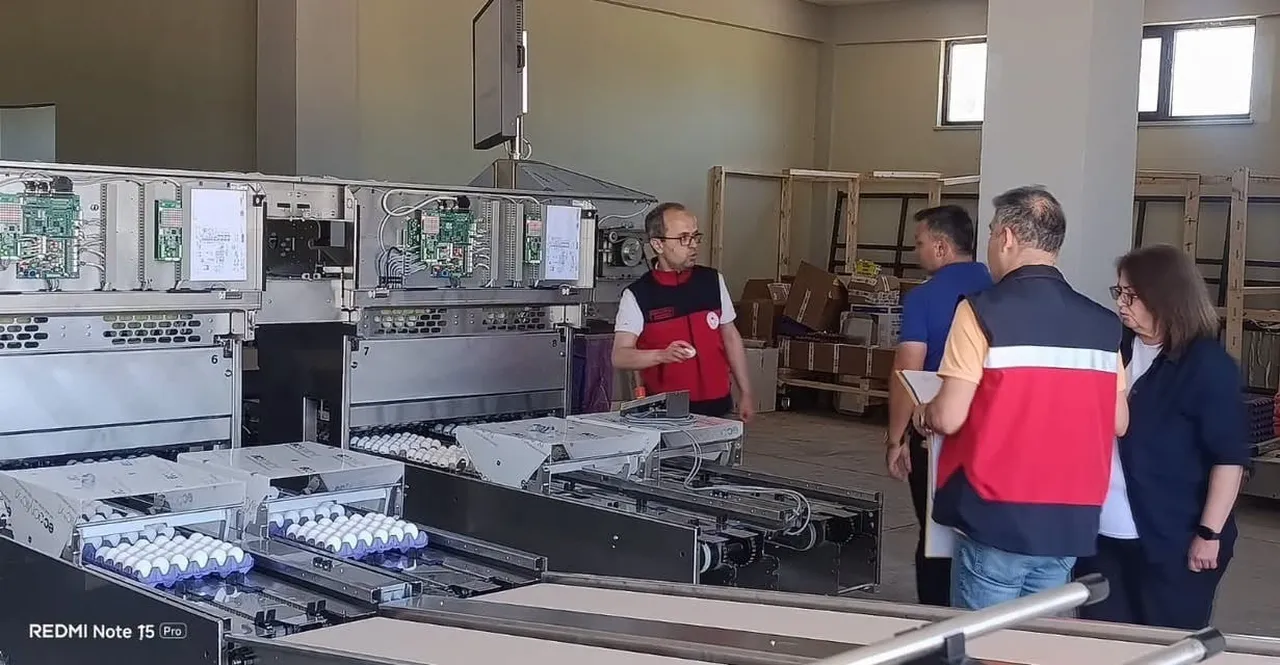 TAVŞANLI’DA YUMURTA PAKETLEMEDE YENİ DÖNEM