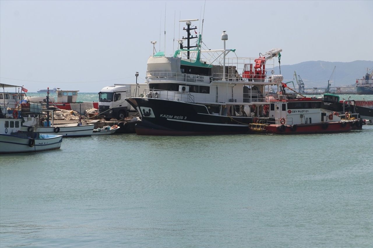 Tekirdağ'da balıkçılar, olumsuz hava ve deniz şartları nedeniyle palamut avına çıkamadı. Bu yıl...