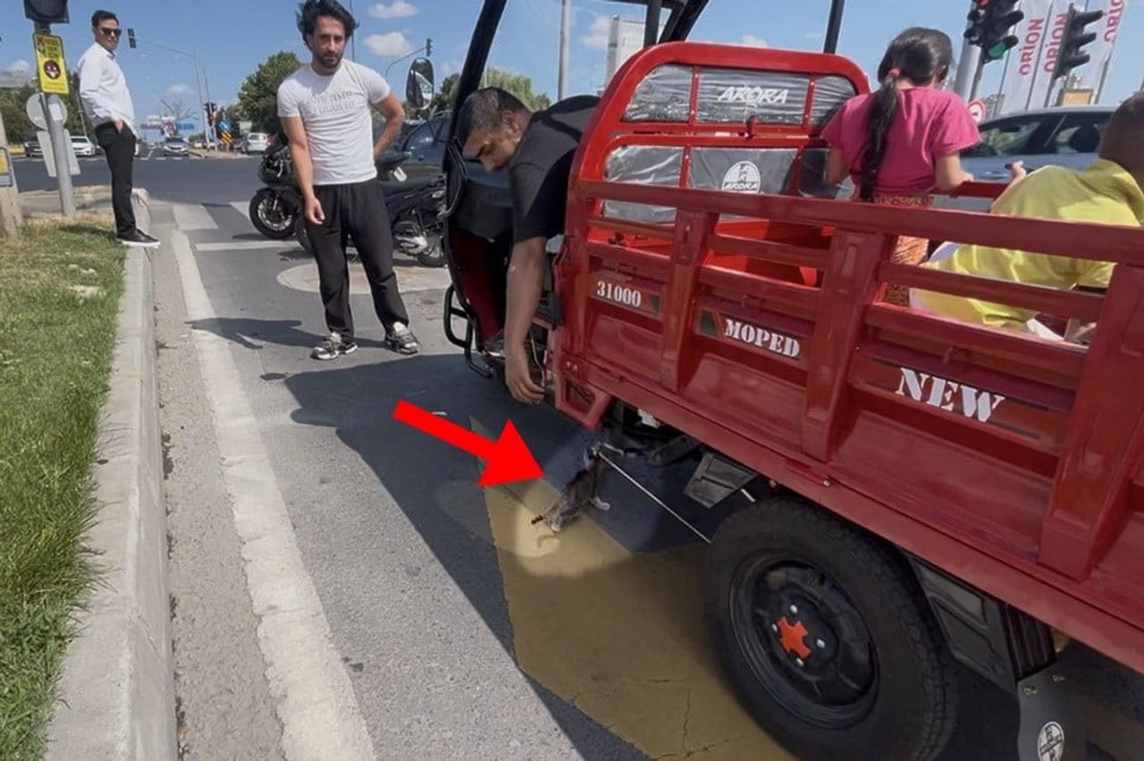 TEKİRDAĞ'IN ÇORLU İLÇESİNDE 3 TEKERLEKLİ MOPEDİN ALTINA GİREN YAVRU KEDİ, MOTOSİKLET SÜRÜCÜSÜNCE...