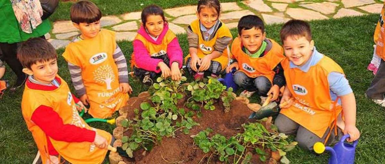 Tema Vakfı nedir