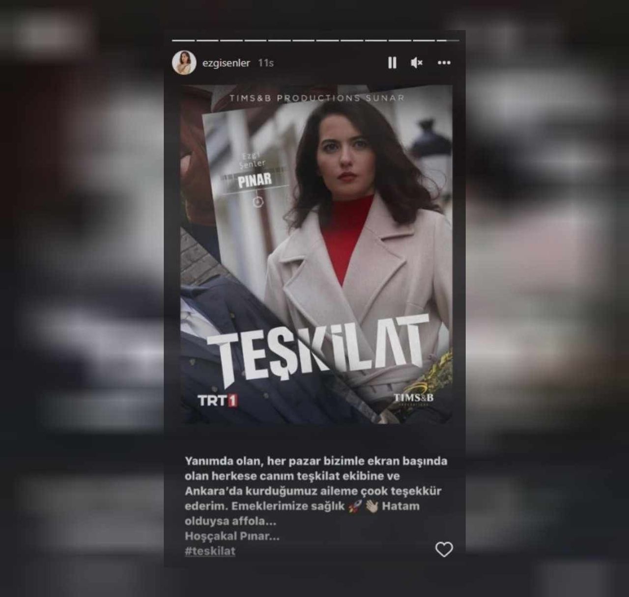 Teşkilat