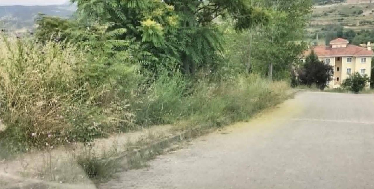 TOKİ'DE VATANDAŞLARIN YILAN ÇIKACAK KORKUSU