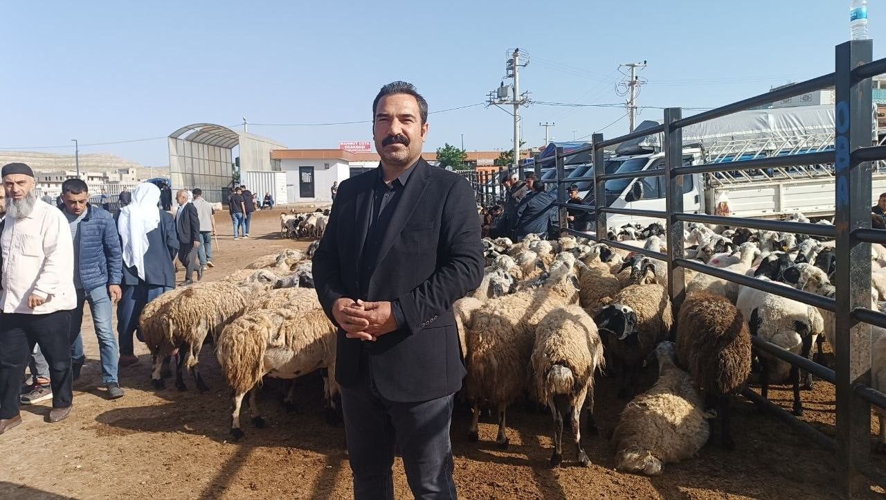 TÜRKİYE'NİN EN BÜYÜK HAYVAN PAZARLARI ARASINDA YER ALAN ŞANLIURFA'DAKİ PAZARDA KURBANLIK YOĞUNLUĞU...