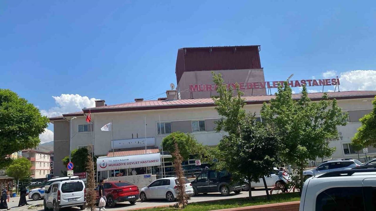VAN'IN MURADİYE İLÇESİNDE İKİ AİLE ARASINDA OT ANLAŞMAZLIĞI NEDENİYLE ÇIKAN SİLAHLI VE SOPALI...