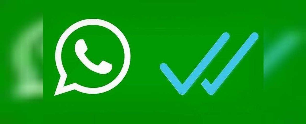 Whatsapp ihbar hatları