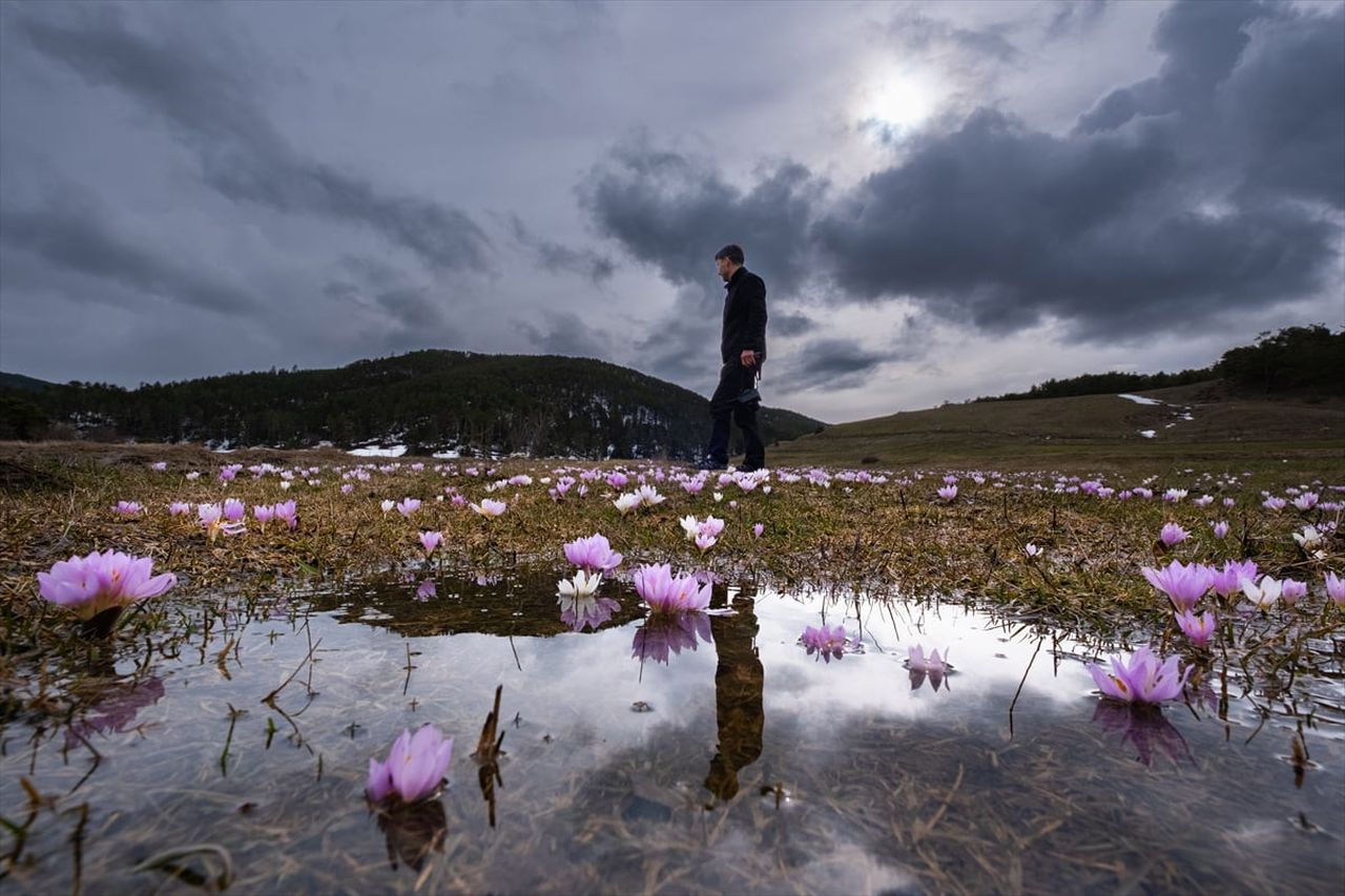 Yozgat'ın Akdağmadeni ilçesinde hava sıcaklıklarının mevsim normallerinin üzerine çıkmasıyla açan...