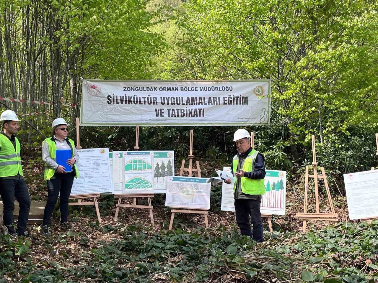 ZONGULDAK ORMAN BÖLGE MÜDÜRLÜĞÜ TARAFINDAN TÜM İŞLETME MÜDÜRLÜKLERİNDE DÜZENLENEN "SİLVİKÜLTÜR...