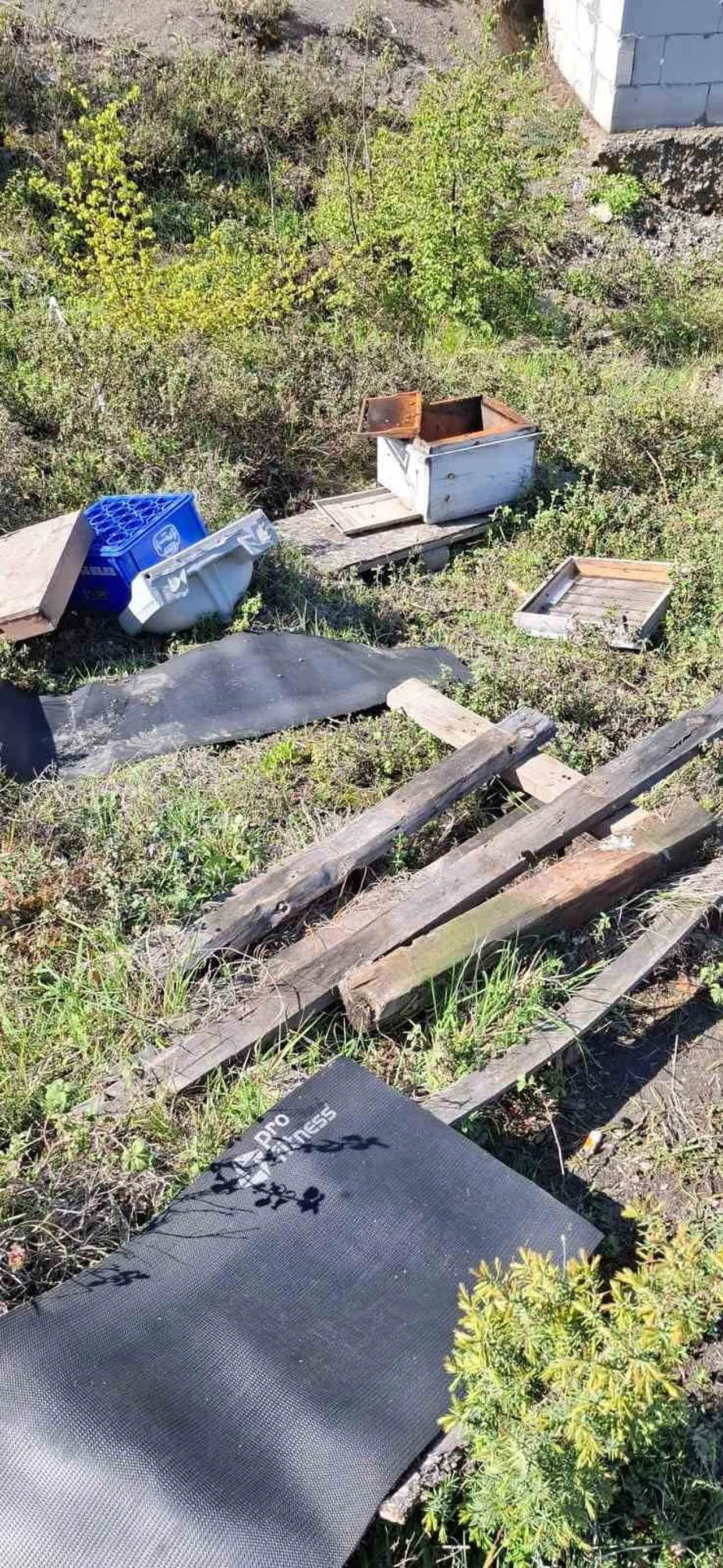 ZONGULDAK ŞEHİR MERKEZİNE SADECE 7 KİLOMETRE UZAKLIKTA KOVANLAR AYILARIN HEDEFİ OLDU