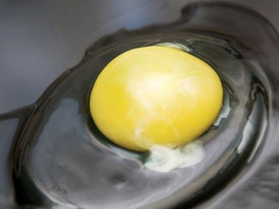 Yumurtanın içindeki ipliğe benzer beyaz şey nedir?