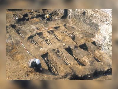 Dünyayı korkutan toplu mezar görüntüsü: Binlerce vebalı aynı çukurda!