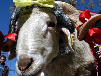 Kurban Kesmek Farz mı, Vacip mi, Sünnet mi?
