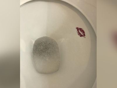 Görür görmez 'nasıl yani?' diyeceğiniz acayiplikte birbiriyle yarışan 15 fotoğraf