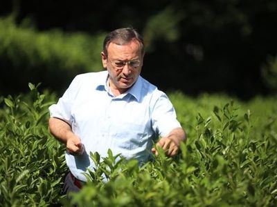 İmparatorların Çayı Olarak da Bilinen Beyaz Çay 4 Bin TL'den Satılıyor