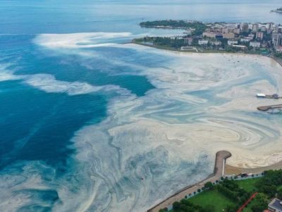 Korkutan Görüntü Caddebostan'dan Geldi! Müsilaj Arttı