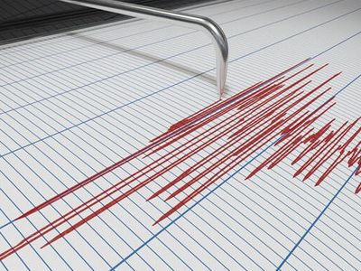 Yeni Zellanda'daki Deprem Dünya'ya Korku Verdi!