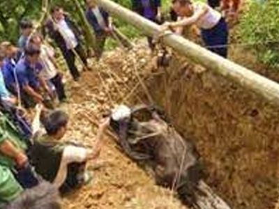 Mezarlıkta korku dolu anlar: Cenaze bir anda tabuttan fırladı