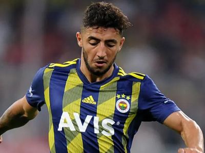 Acun Ilıcalı'nın Takımı Hull City, Fenerbahçe'den Allahyar Sayyadmanesh'i Transfer Etmek İstiyor!