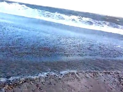 Deniz kızı cesedi kıyıya vurdu, halk ayağa kalktı!