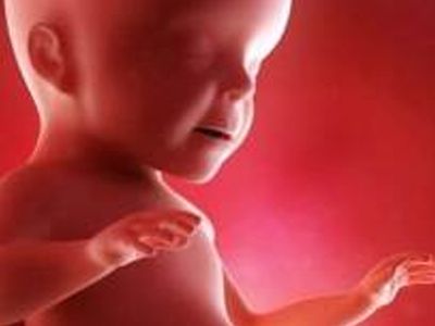 Tarihte bir ilk! Cinsel organı olmayan kadın hamile kaldı! Bütün süreci anlattı