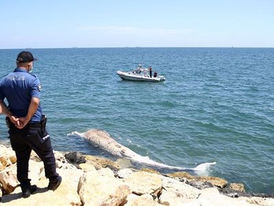 Mersin Sahiline 8 Metre Oluklu Beyaz Balina Vurdu