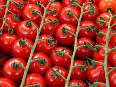 Saksıya domates dilimleri koydu sonuca kendi bile inamadı