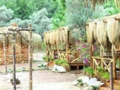 Mandıra Filozofu'nun Çekildiği Bölge Küle Döndü!