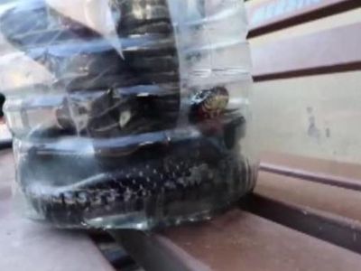 Mersin’de Bir Eve Giren 2 Metrelik Yılan Korku Dolu Anlar Yaşattı