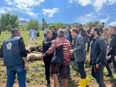 Kaşla göz arasında koyun sürüsü telef oldu çoban olanlara anlam veremedi hayatının şokunu yaşadı