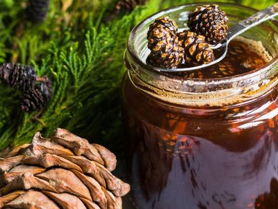 Çam kozalağı pekmezi nasıl yapılır, nasıl kullanılır, aç karnına mı içilir? Akciğerleri temizleyen kozalak pekmezinin faydaları