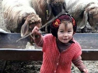 Müslüme Yağal cinayetinde yeni gelişme! Dede Yağal'dan itiraf geldi 'Gelinimle cinsel ilişkim...'