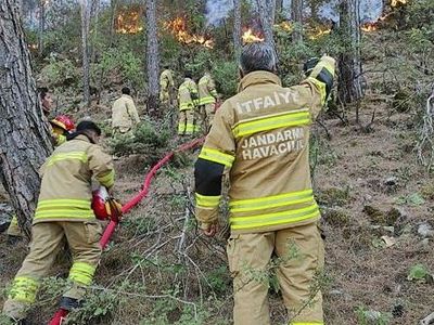 Orman Yangını Felaketinden Etkilenen Bölgelere Dev Destek