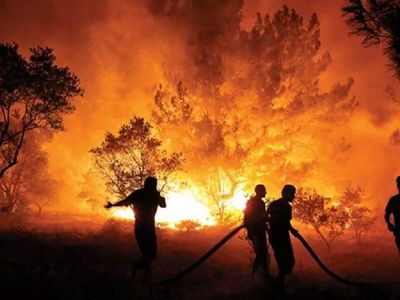 Orman Yangınlarının Tahrip Ettiği Alanların Uydu Görüntüsü Paylaşıldı