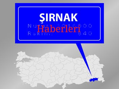Parasını alamayan adam amcasının kamyonlarını kepçeyle ezdi