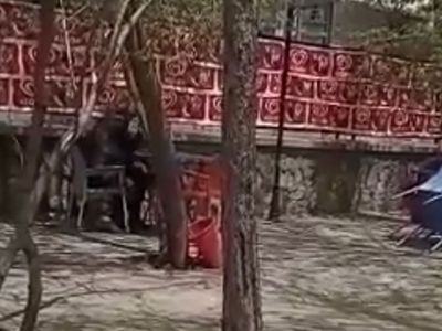 İnsanlar çıldırdı! Bebek ve Ümraniye’den sonra bir skandal da Ağrı’dan geldi dedeler…
