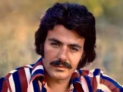 Ferdi Tayfur kimdir?