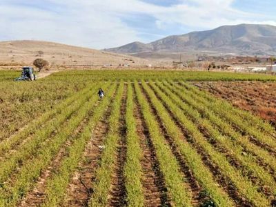 Elazığ’da Yaşayan Çiftçi Tarlasını İhtiyaç Sahiplerine Açtı: 7 Ton Sebzeyi Ücretsiz Dağıttı