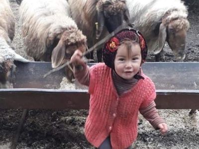 Kayıp Müslümenin Dedesi Tutuklandı Sebebi İse