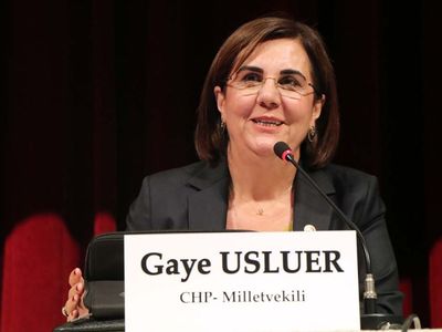 Prof. Dr. Gaye Usluer Kimdir?