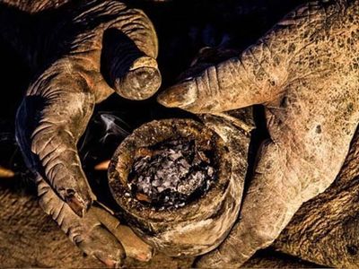 İran'da yaşayan şahıs 65 yıldır suya dokunmuyor