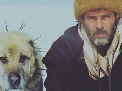 En İyi Tarık Akan Filmleri