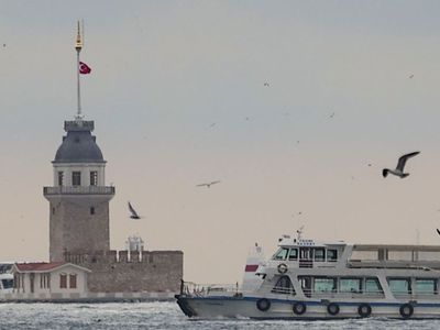 Yunusların İstanbullulara görsel şöleni