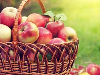 Elma yemenin faydaları ve zararları nelerdir? Elma nasıl tüketilmeli? Vitamin deposu elmanın bilinmeyen faydaları