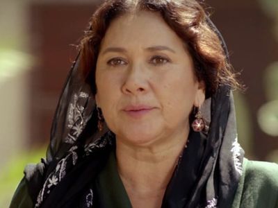 Hülya Darcan Kimdir? 